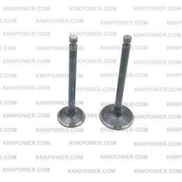 47.A-410 intake and exhaust valve 186F DIESEL