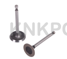 47.A-402 INTAKE AND EXHAUST VALVE HONDA GX160 200