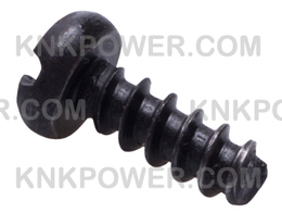 KM0403250-79 SCREW ST5*12