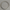 GASKET ø25.4*ø20MM*1.3MM
