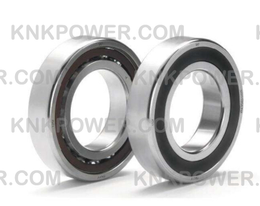 6309-2RS BEARING 45×100×25mm