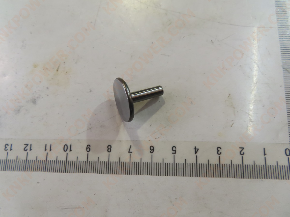 knkpower [25346] TAPPET