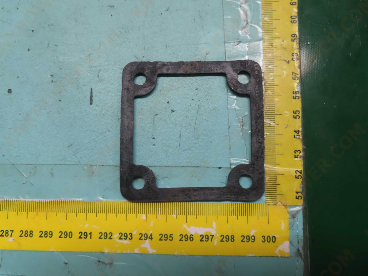 knkpower [25892] GASKET