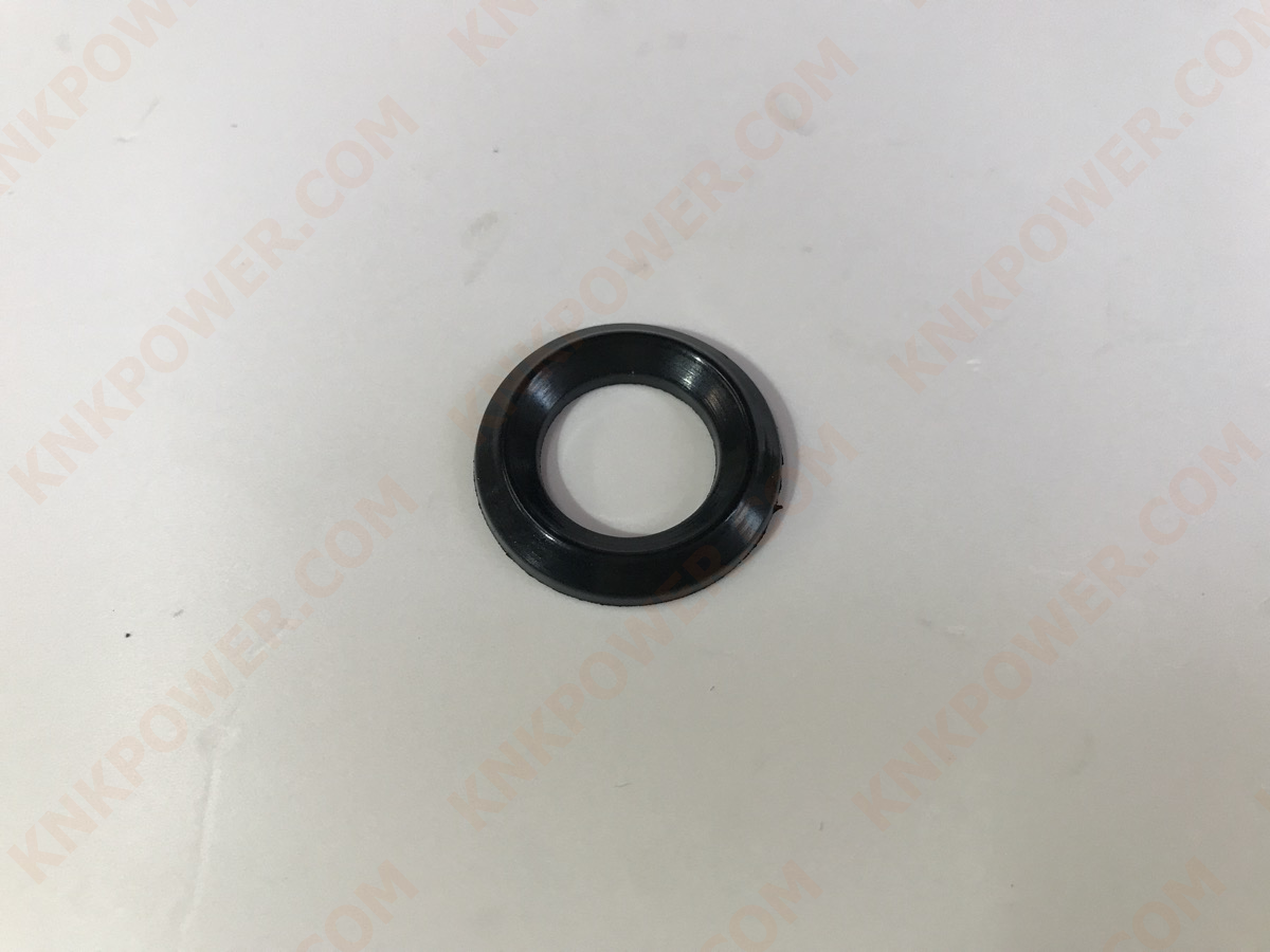 knkpower [24198] KASEI