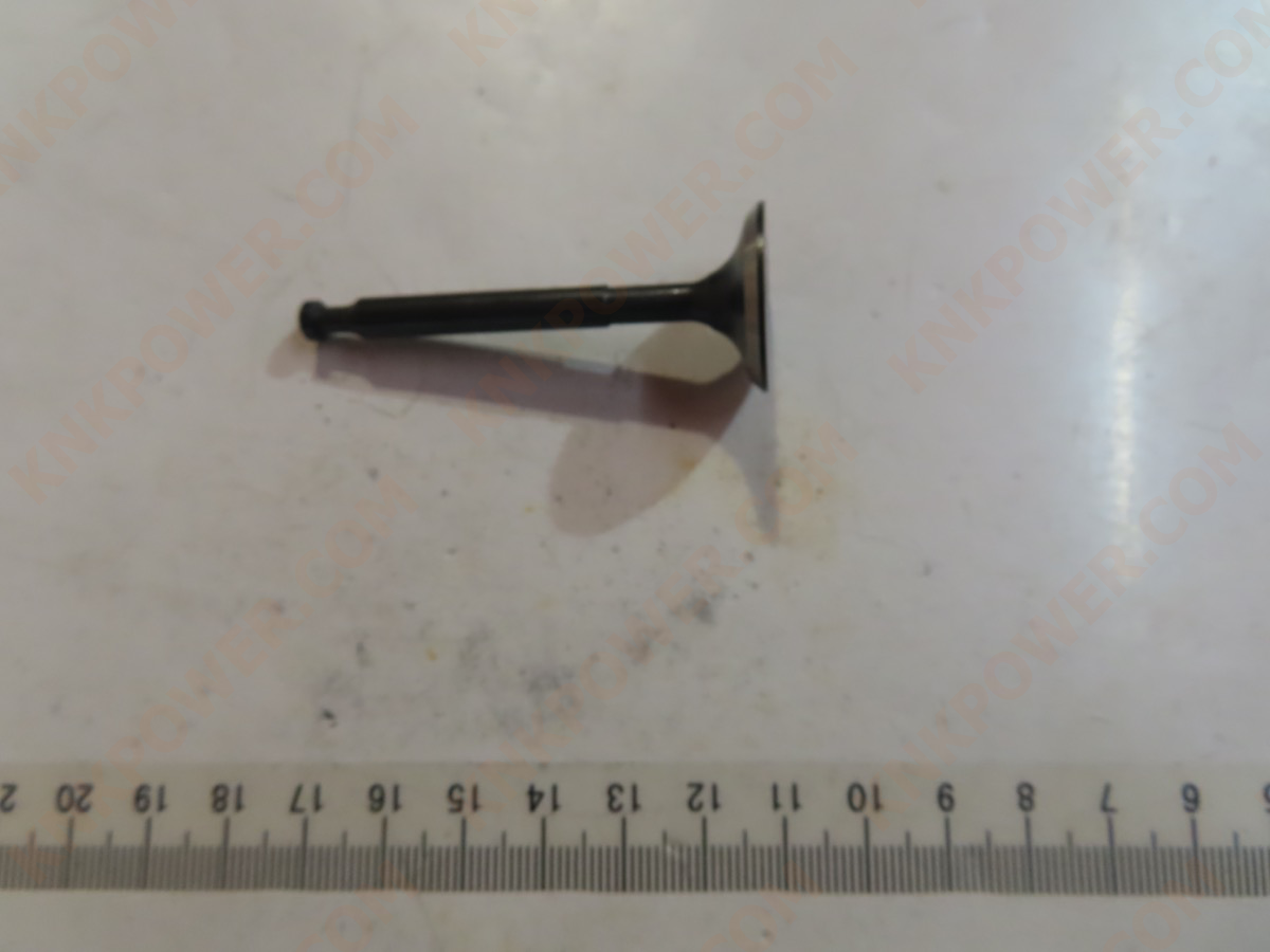 knkpower [25291] INTAKE VALVE