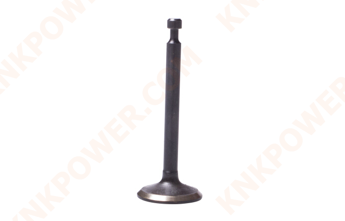 knkpower [15196] INLET VALVE
