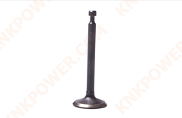 knkpower [15195] EXHAUST VALVE