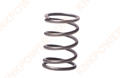 knkpower [15176] VALVE SPRING